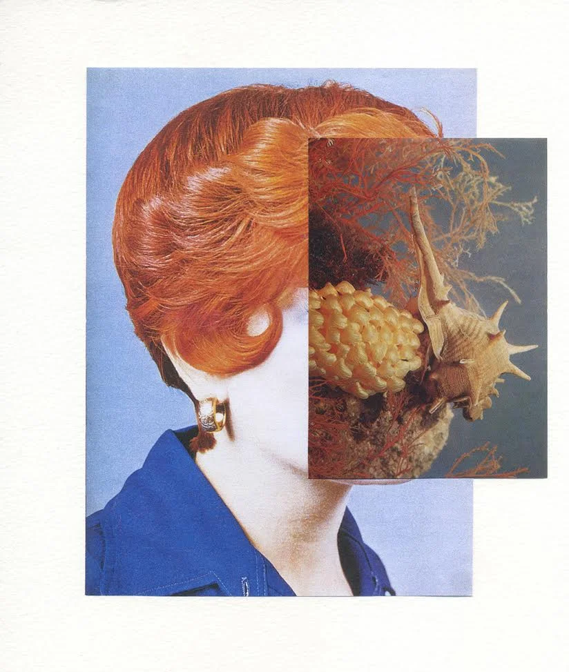 untitled.jpg