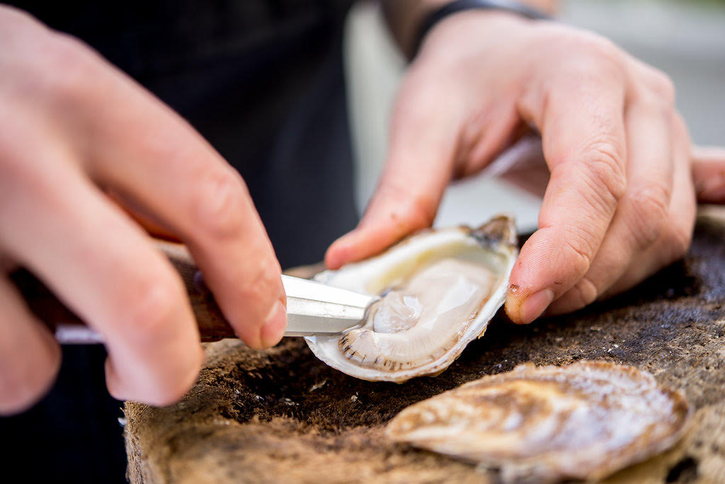 oystersshuck.jpg