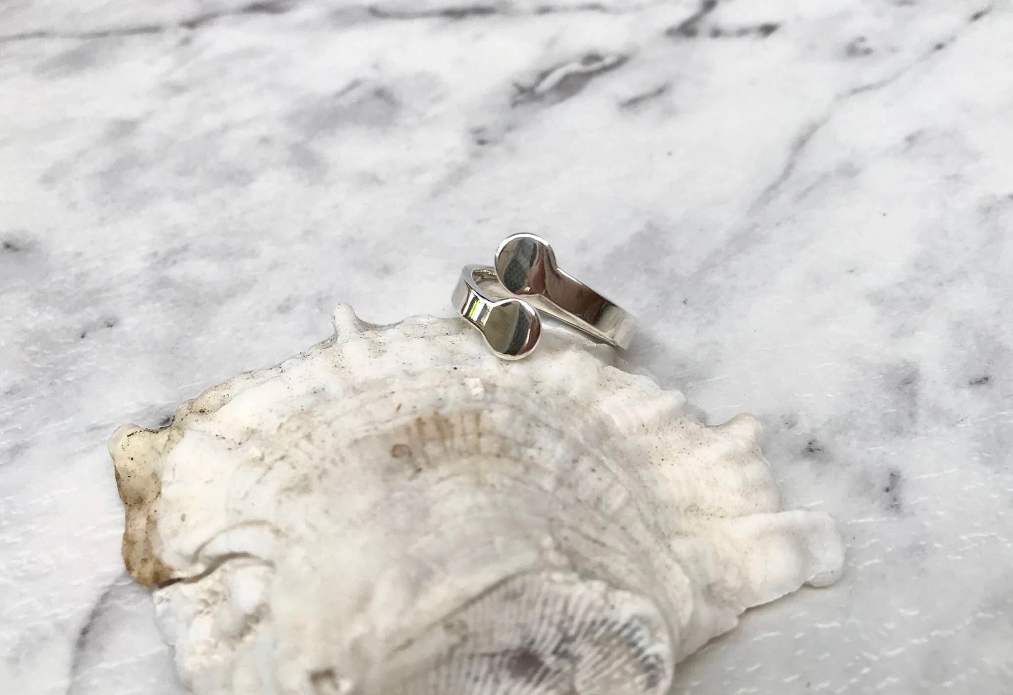 Silver disc ring.jpg