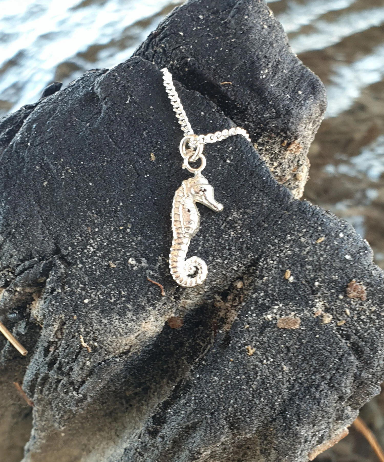 silver-goose-seahorse-necklace.jpg