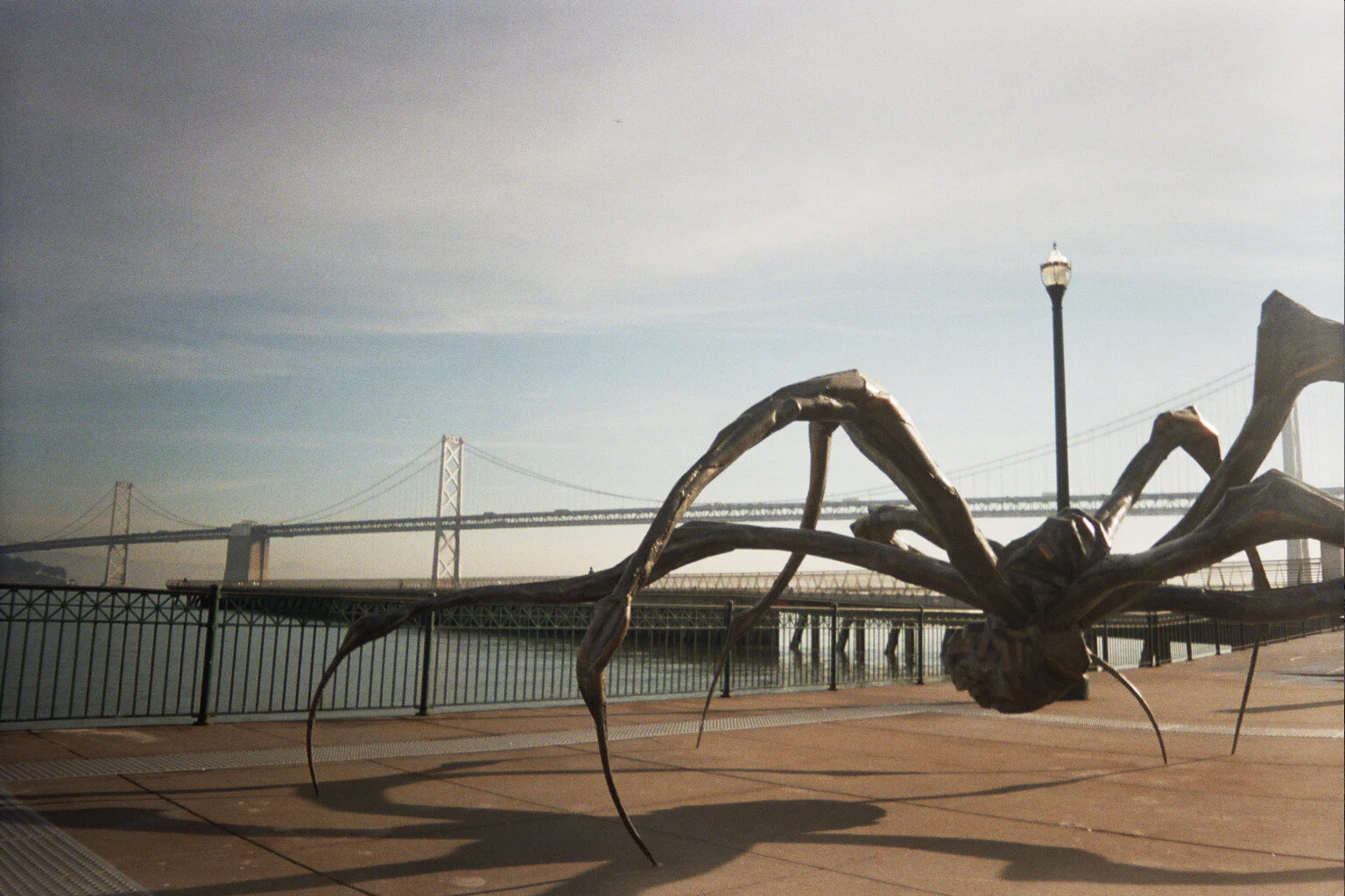23A_0067.jpg