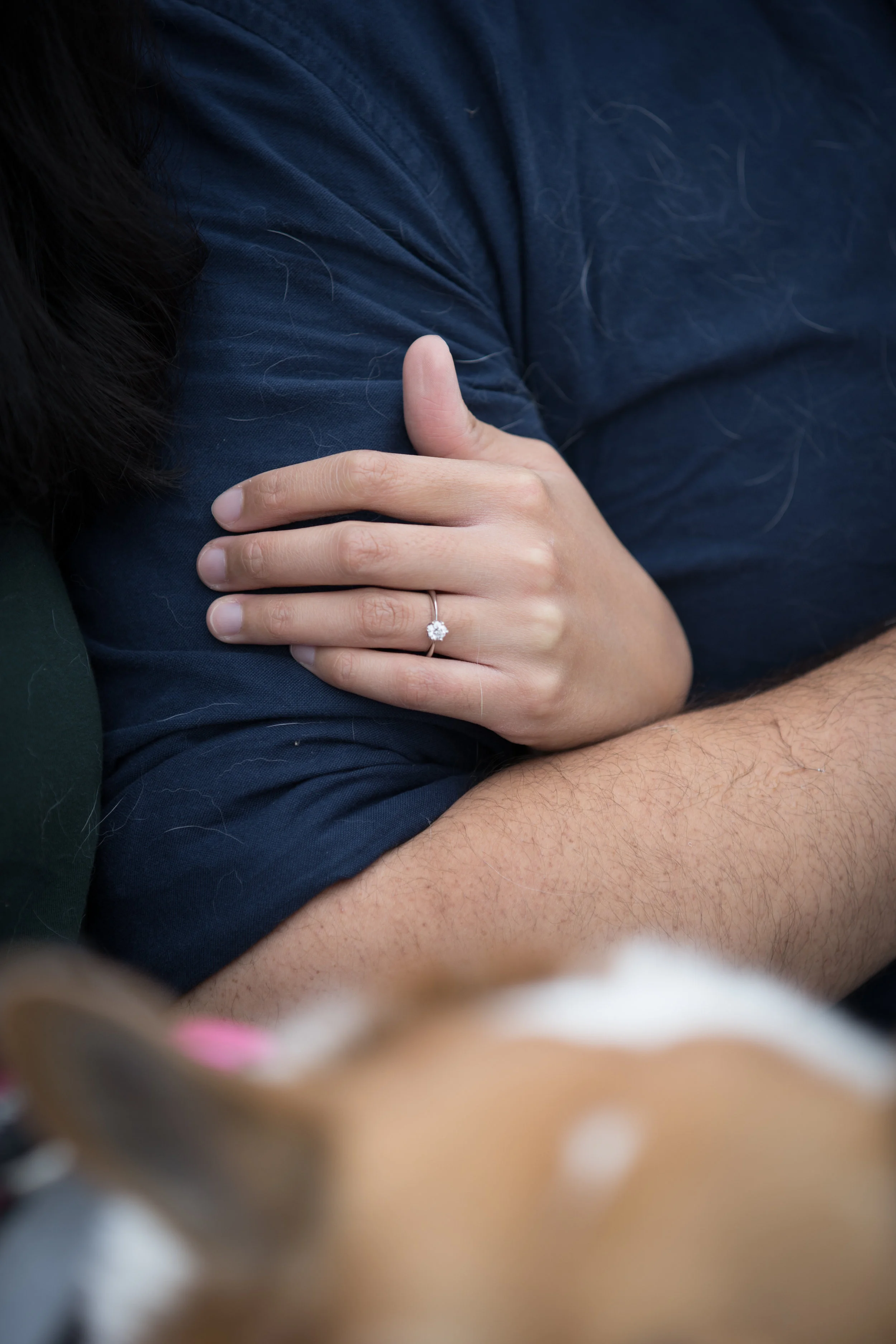 Helen and Steve Engagement-16.jpg