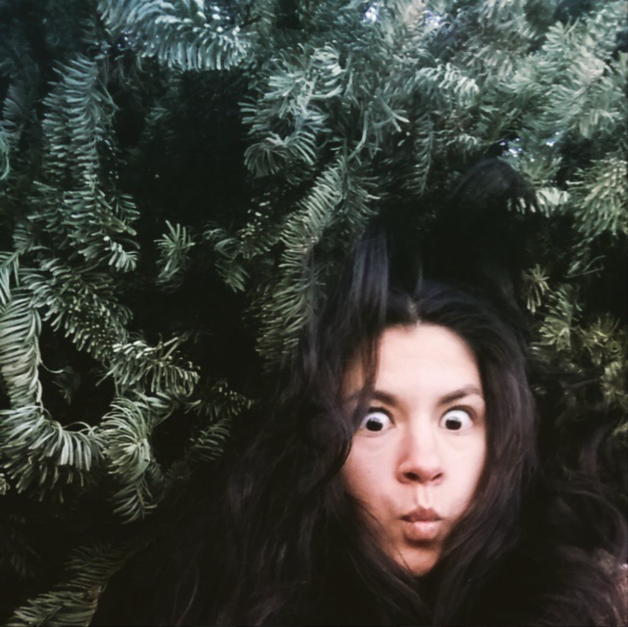 I've been perfecting the art of hiding from the clutches of the Digital Age. In this case, in a cave made of recycled Christmas trees in a snowy park in Nevada.