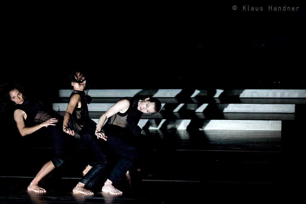 Cooperativa Maura Morales's Cherchez la Femme