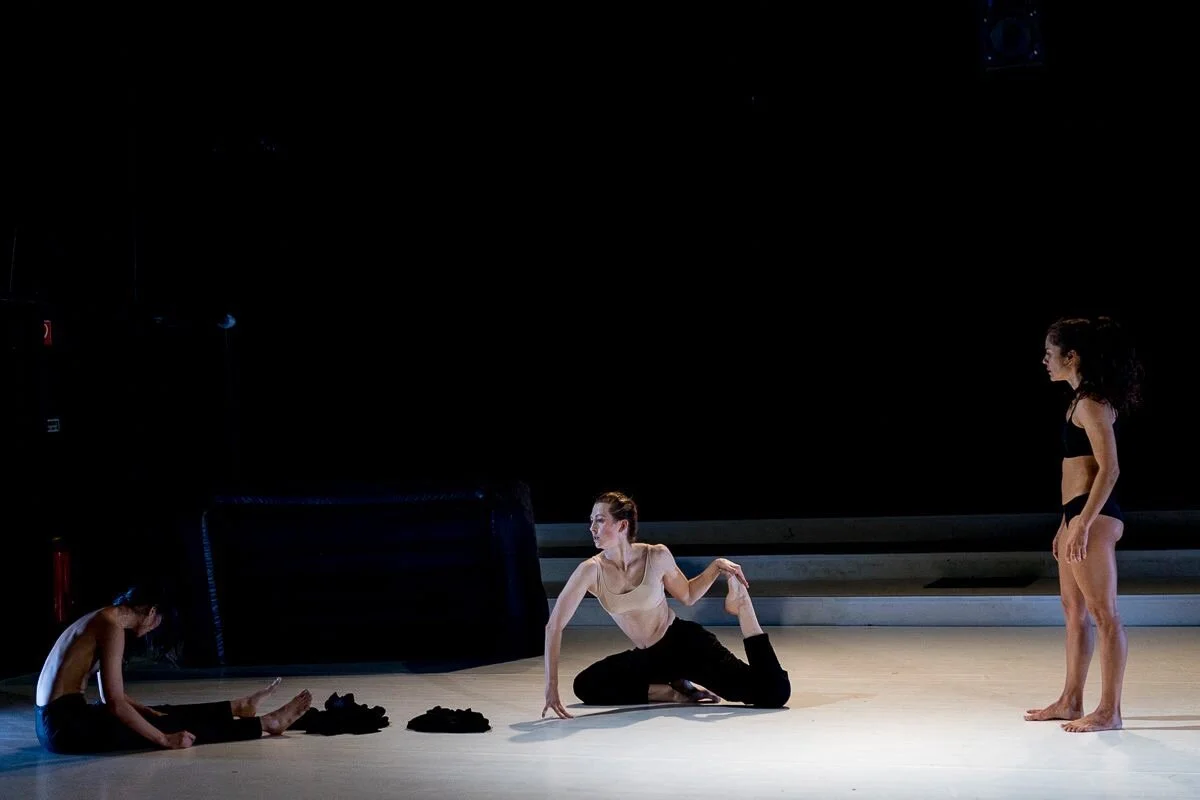 Cooperativa Maura Morales's Cherchez la Femme