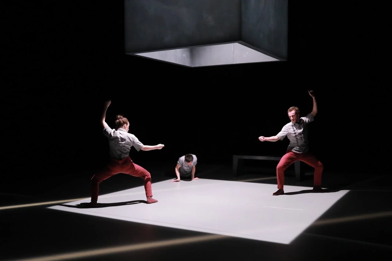 De Panter by Dunja Jocic