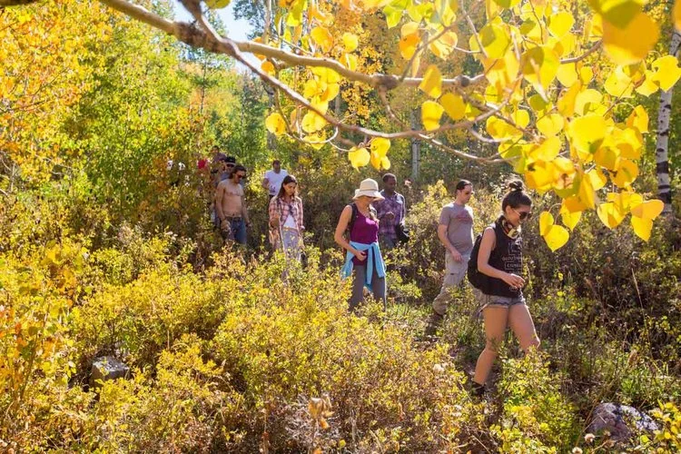 Presentations to be followed by movement activities including hiking and yoga.