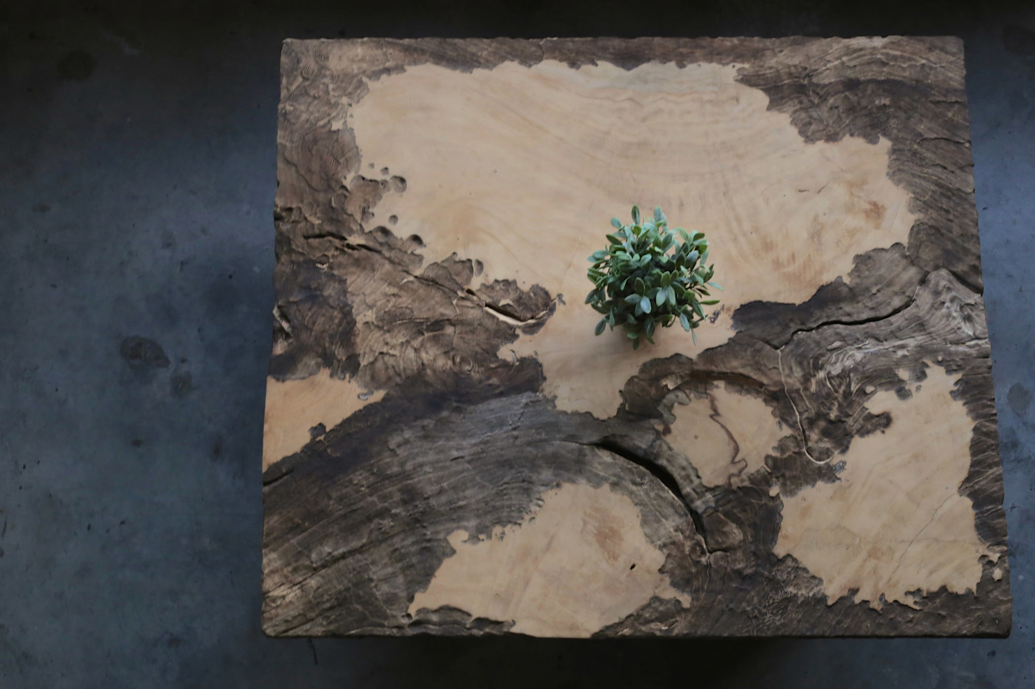 Black Suar Coffeetable x Herman Furniture Singapore