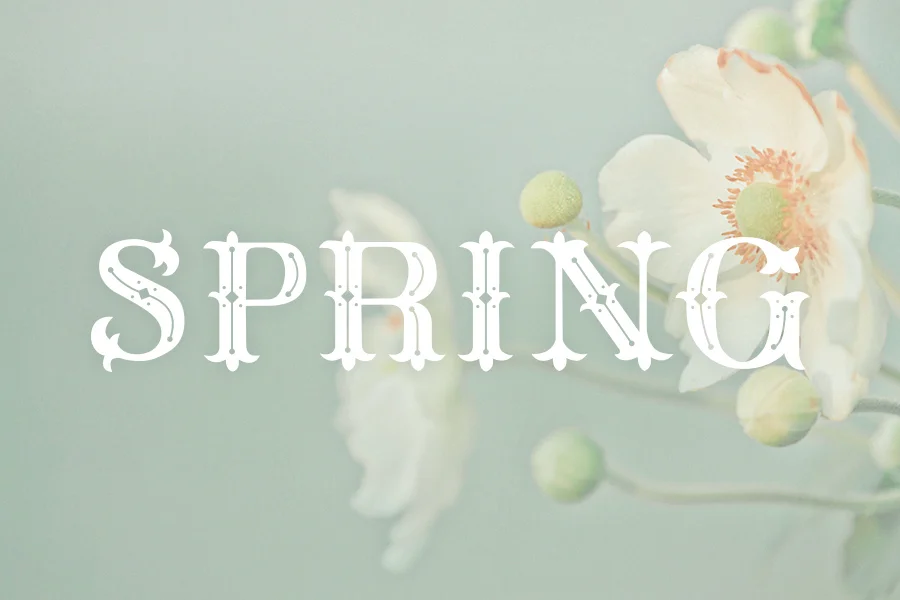 Méliès Font - Spring
