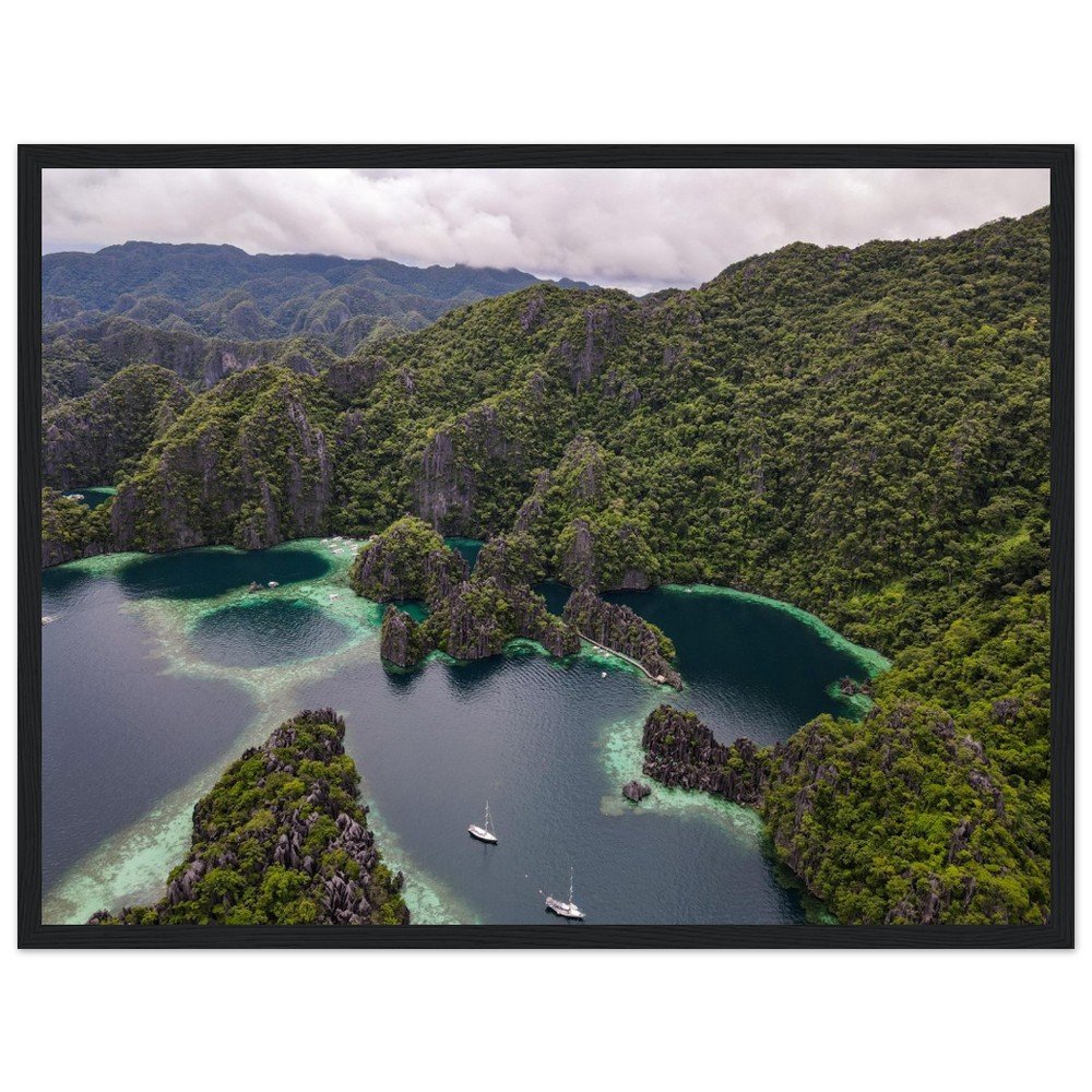 tmp-331-wNdeTSnpieTv