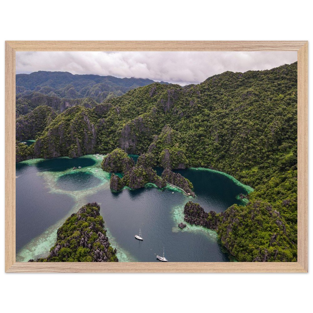 tmp-317-P5hCbtPBNvDa