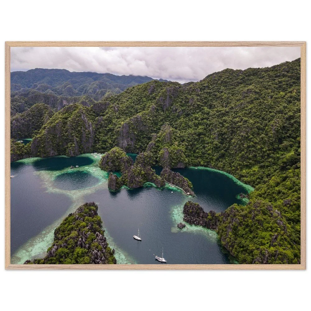 tmp-311-DDJC8QxPHocz