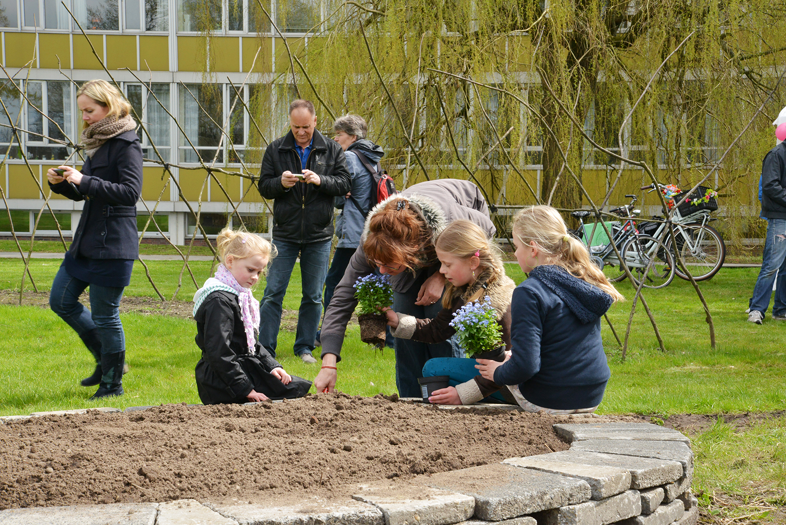 MVrij_Pronkbonen_werk2.jpg