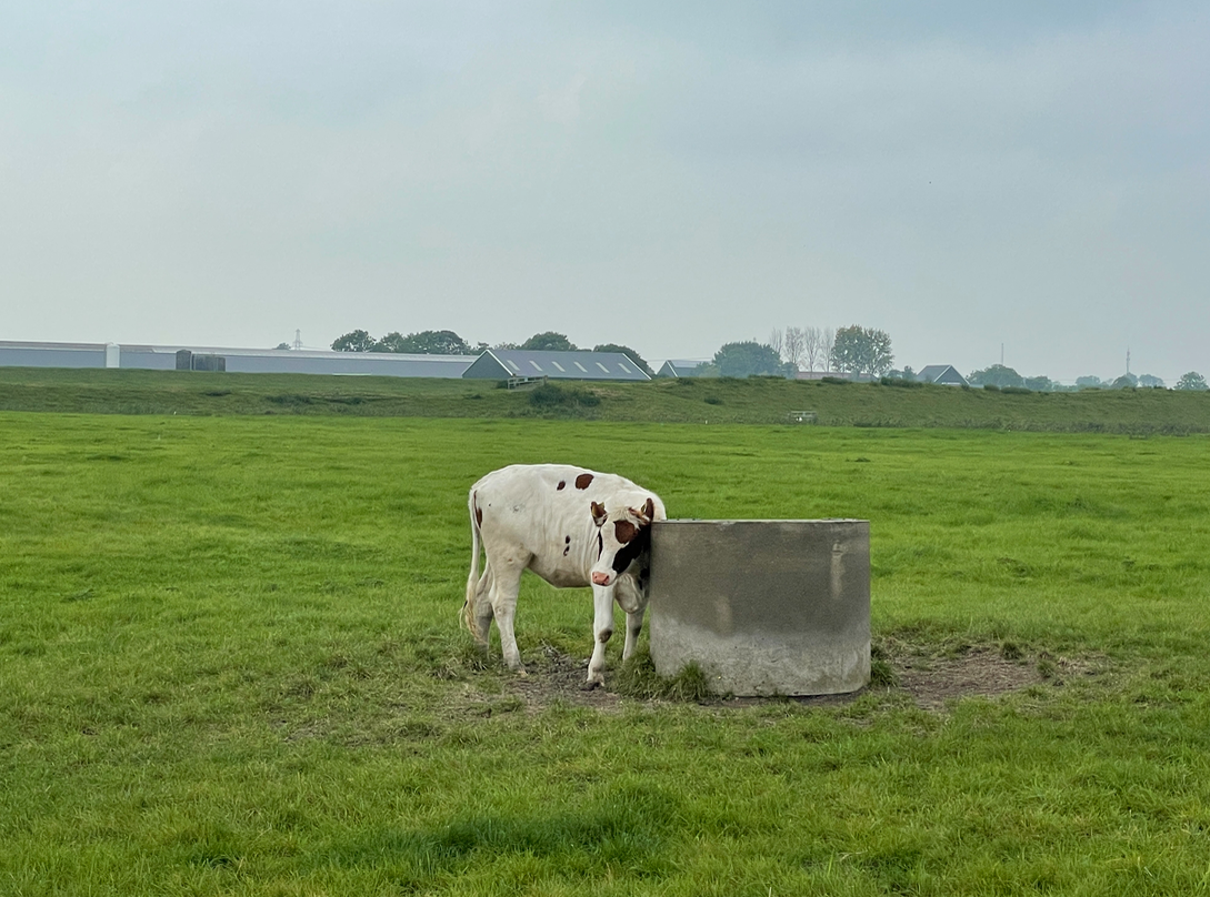 Schermafbeelding 2022-04-27 om 16.15.26.png