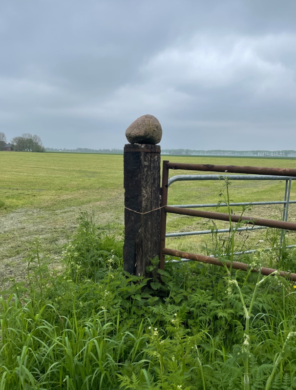 Schermafbeelding 2022-04-27 om 16.25.34.png