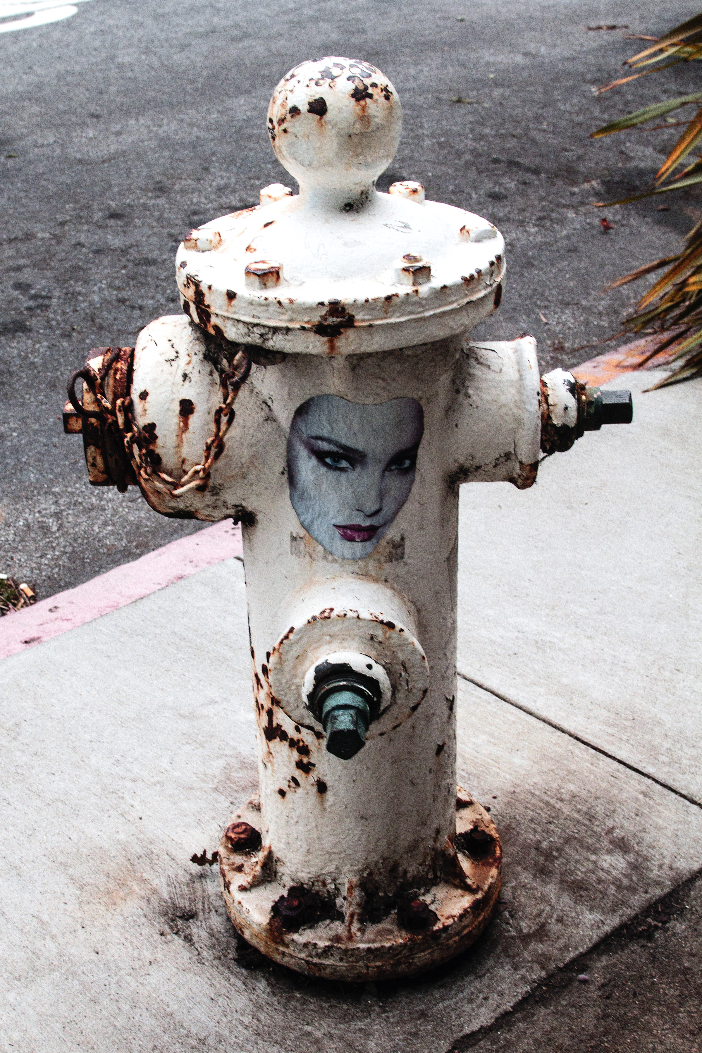Fire Hydrant.jpg