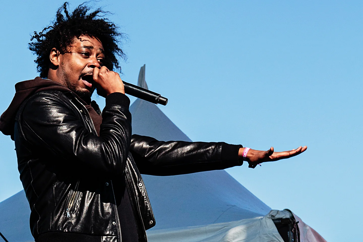 Danny Brown