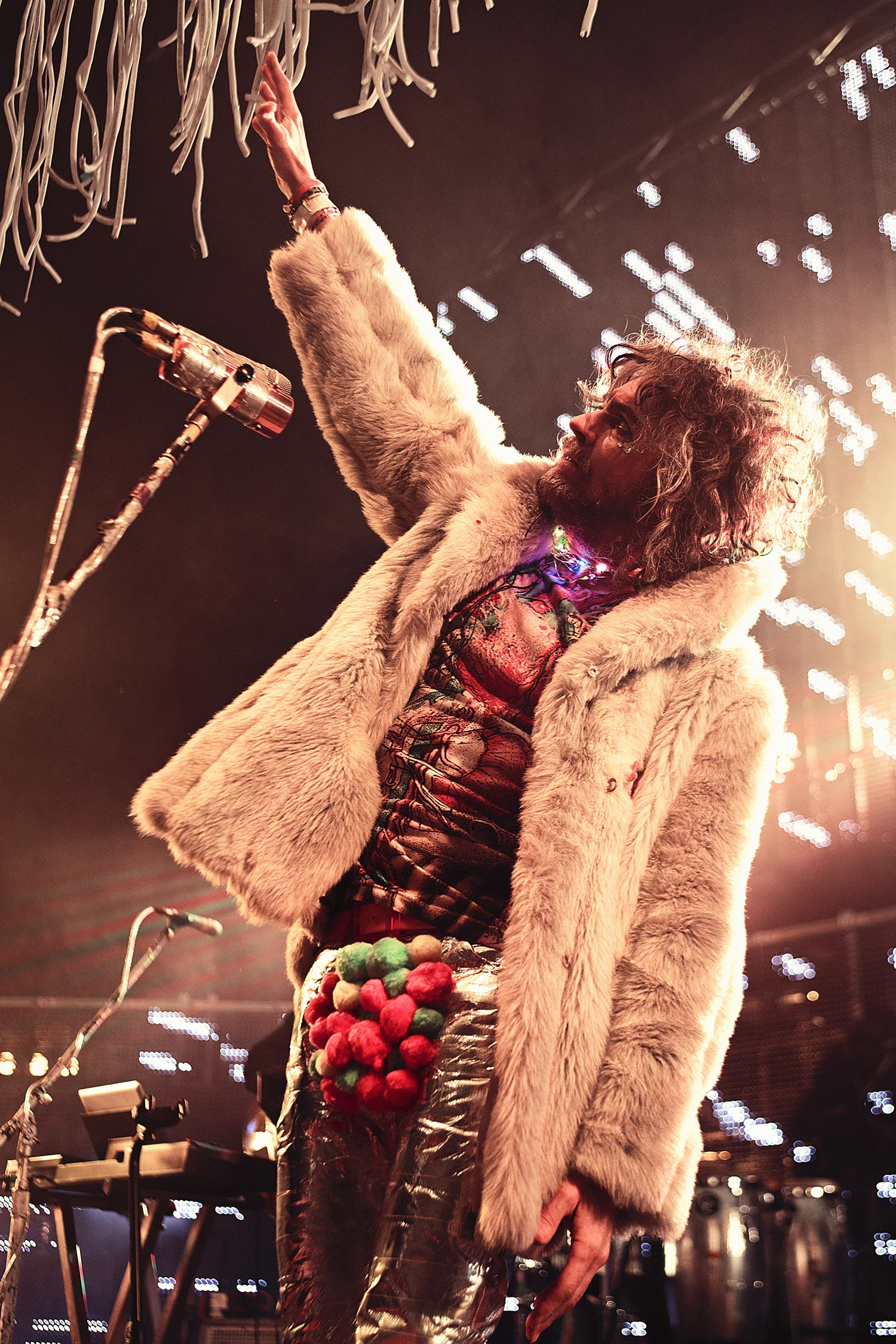 Wayne Coyne (Flaming Lips)