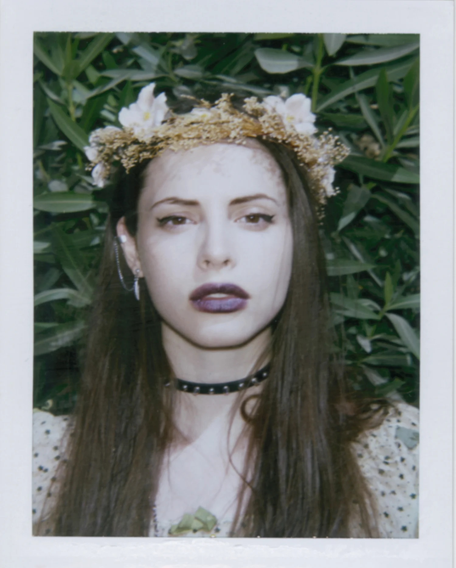 Charlotte Kemp Muhl