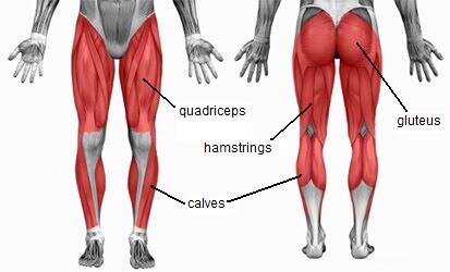 Glute hamstring tie in