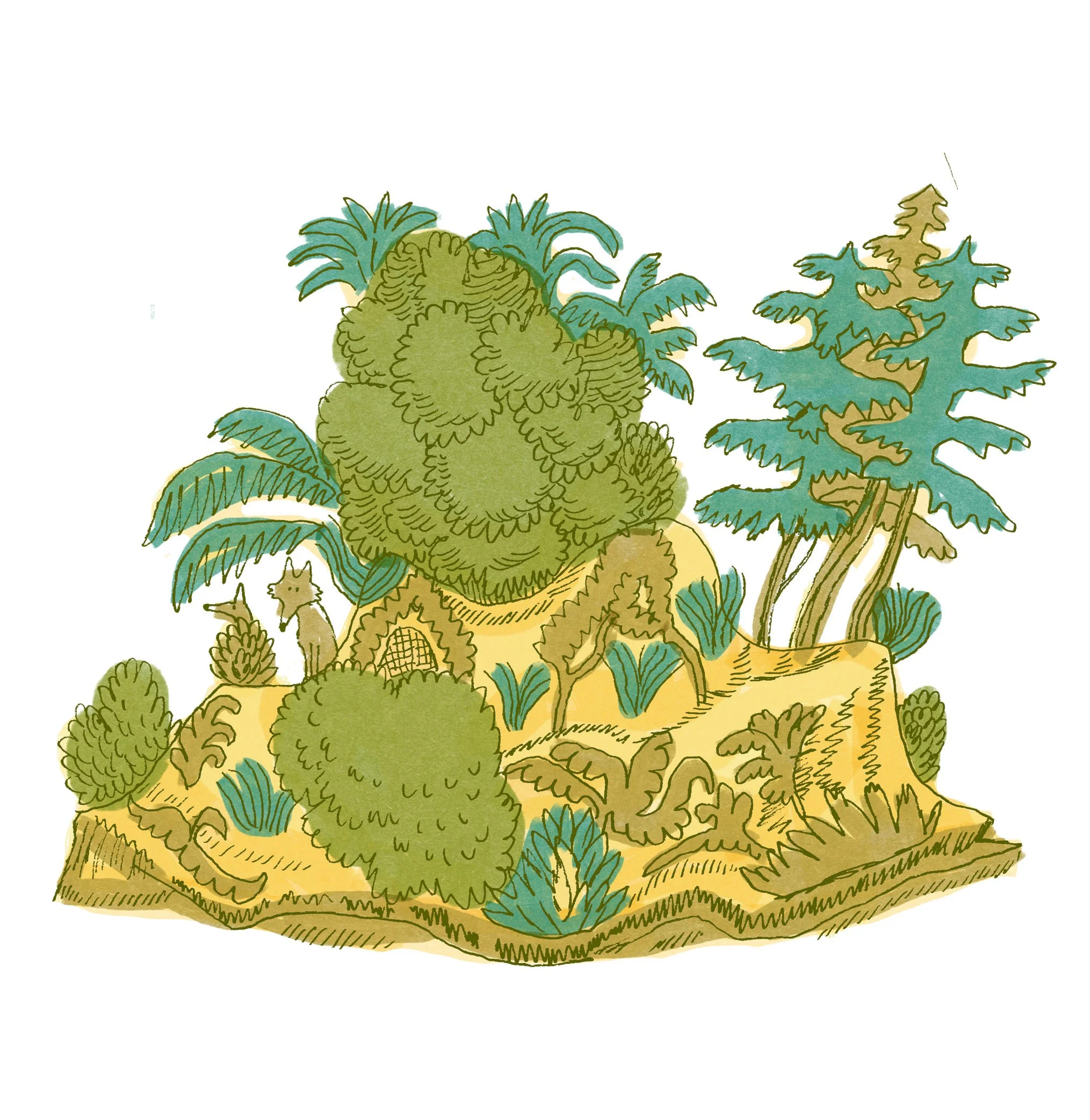 wolf.island kopiera.jpg