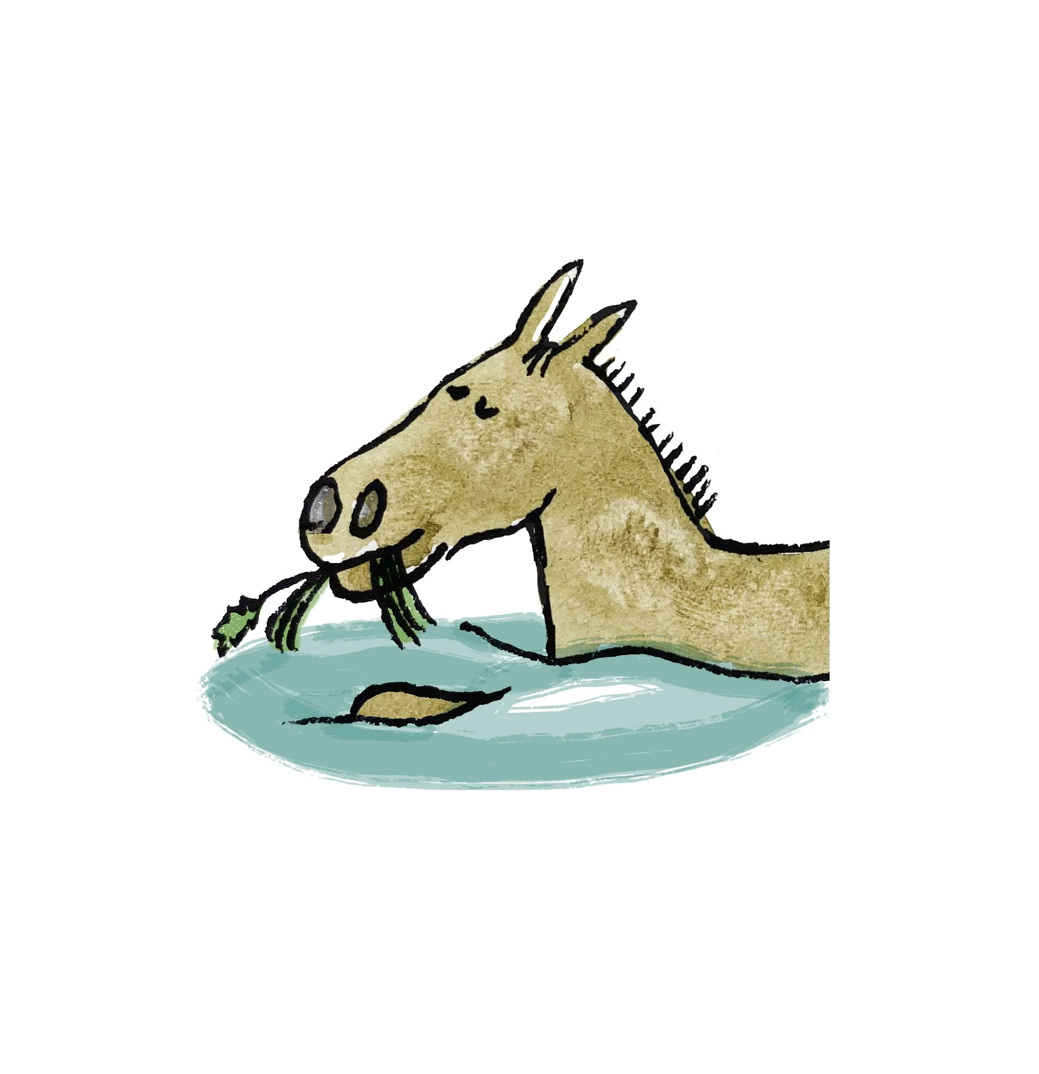 horse.swimming kopiera.jpg