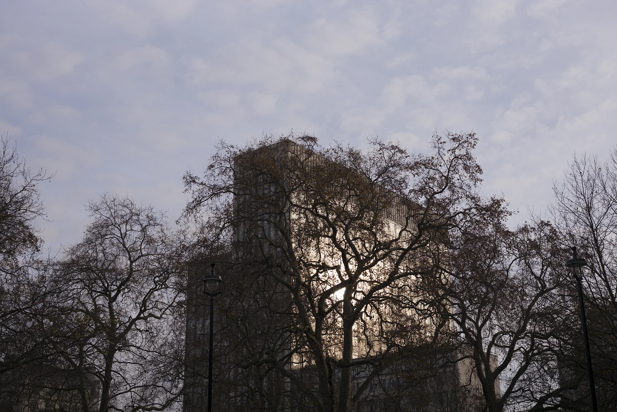L1002810.jpg