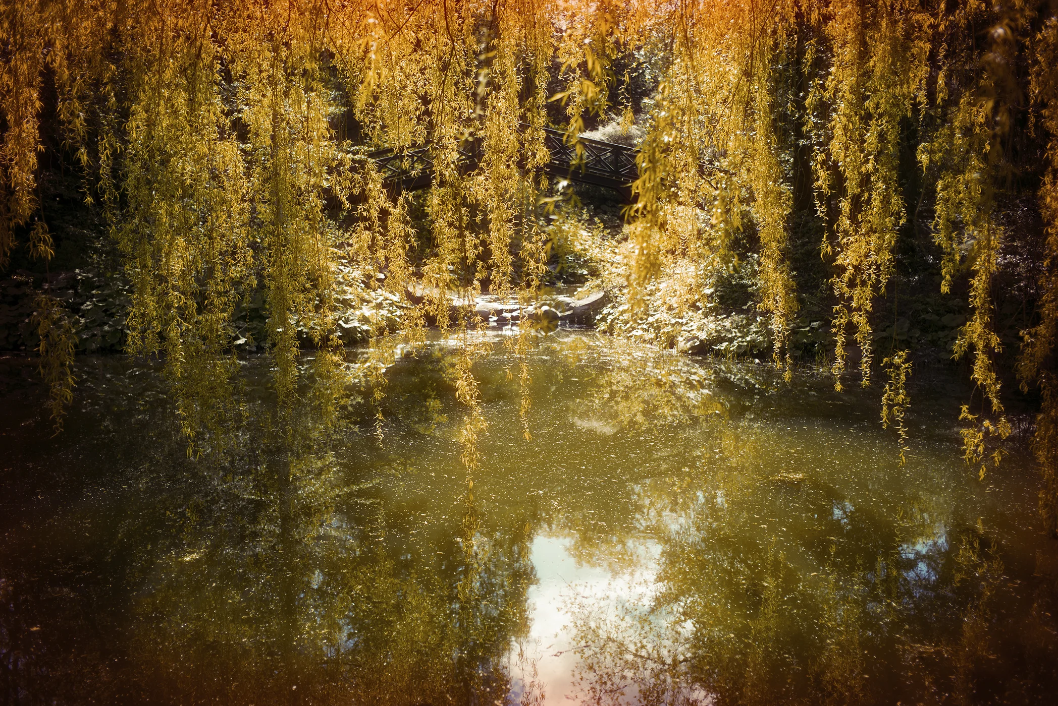 L1000564.jpg