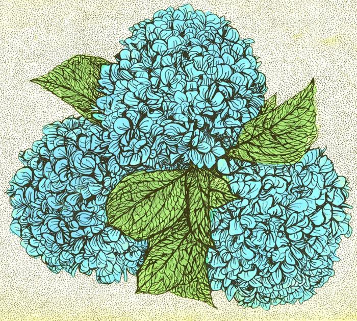 blue flower.jpg