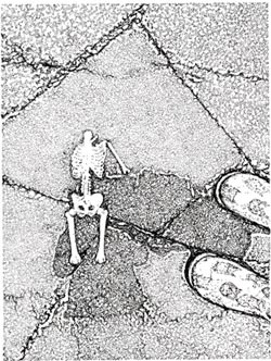 Skeleton 