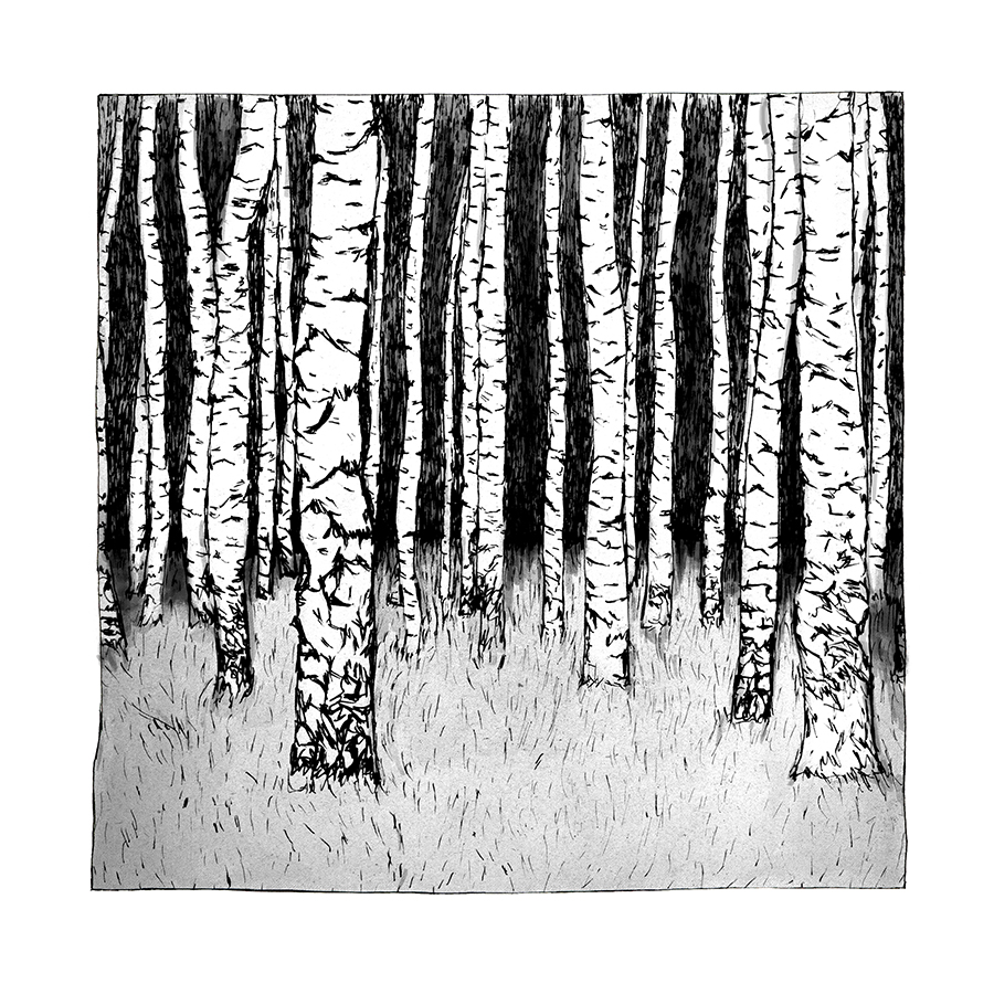 Birch Trees by Maria Nilsson
