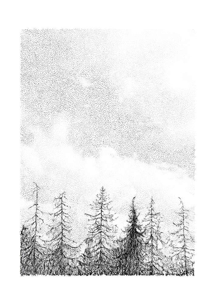 Tree Line by Maria Nilsson