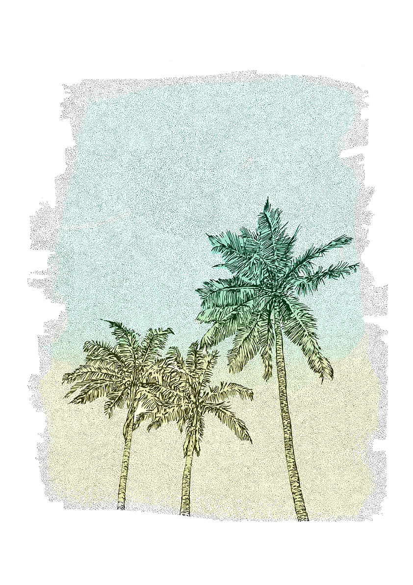 PalmTreesColourLowRes.jpg