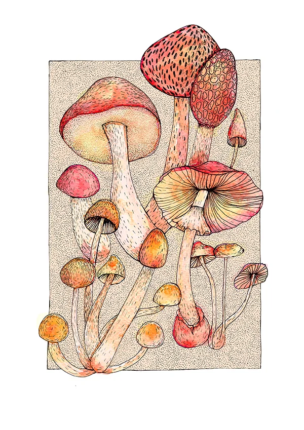 finalmushroomswebmarianilsson.jpg