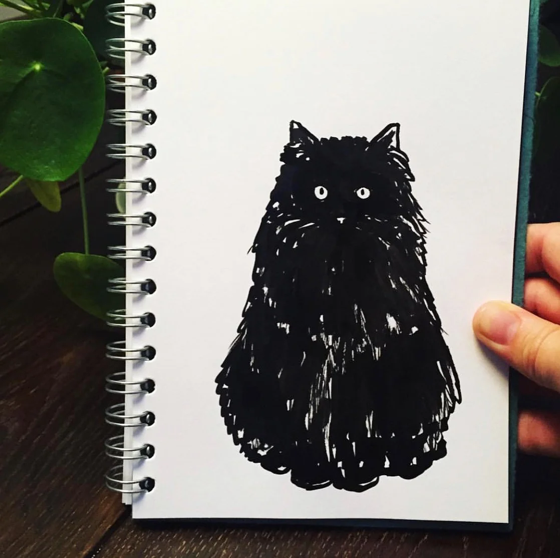 Black Cat Ink Drawing