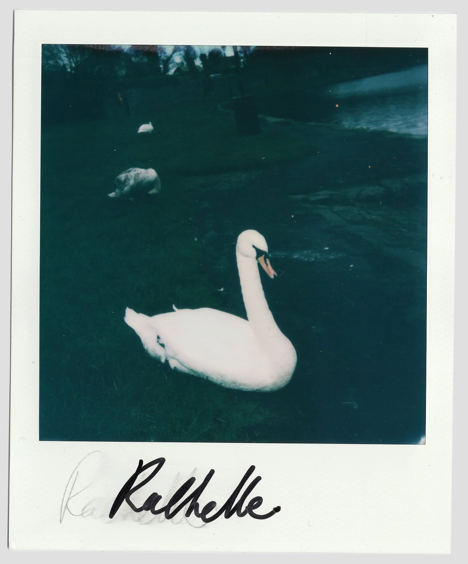 Rachelle02.jpg