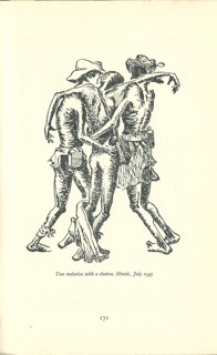 'Two Malarias and a Cholera'