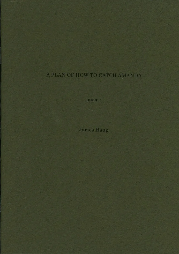 A Plan of How to Catch Amanda - James Haug
