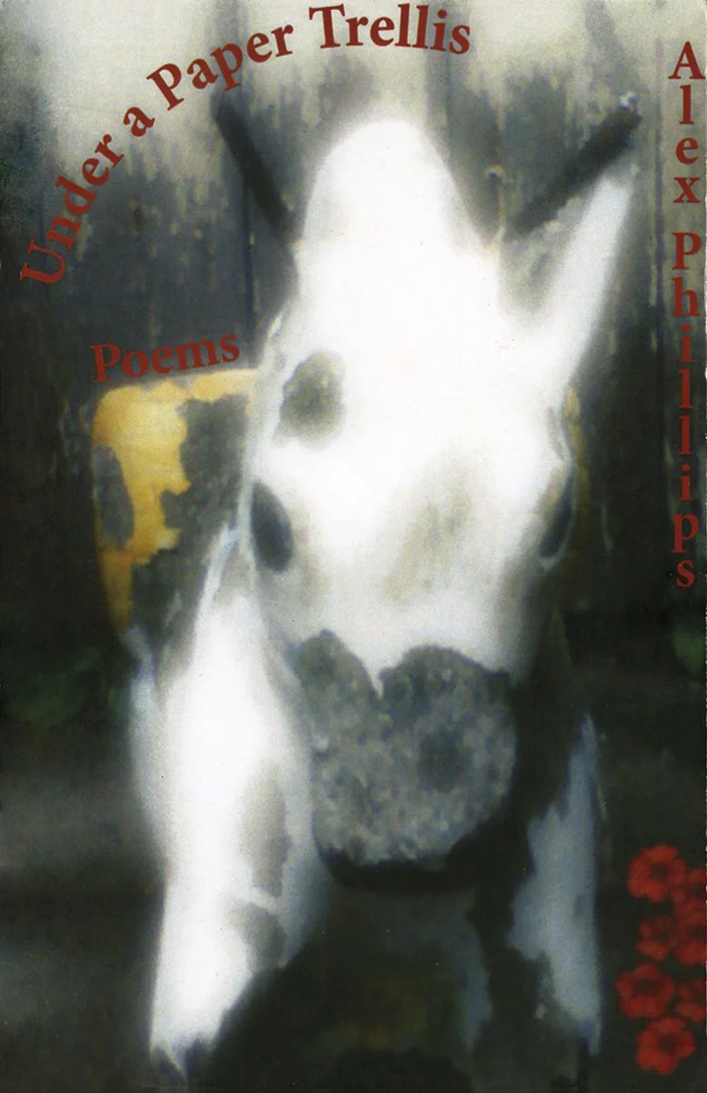 Under a Paper Trellis - Alex Phillips