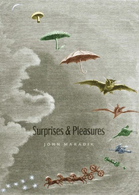 Surprises & Pleasures — John Maradik
