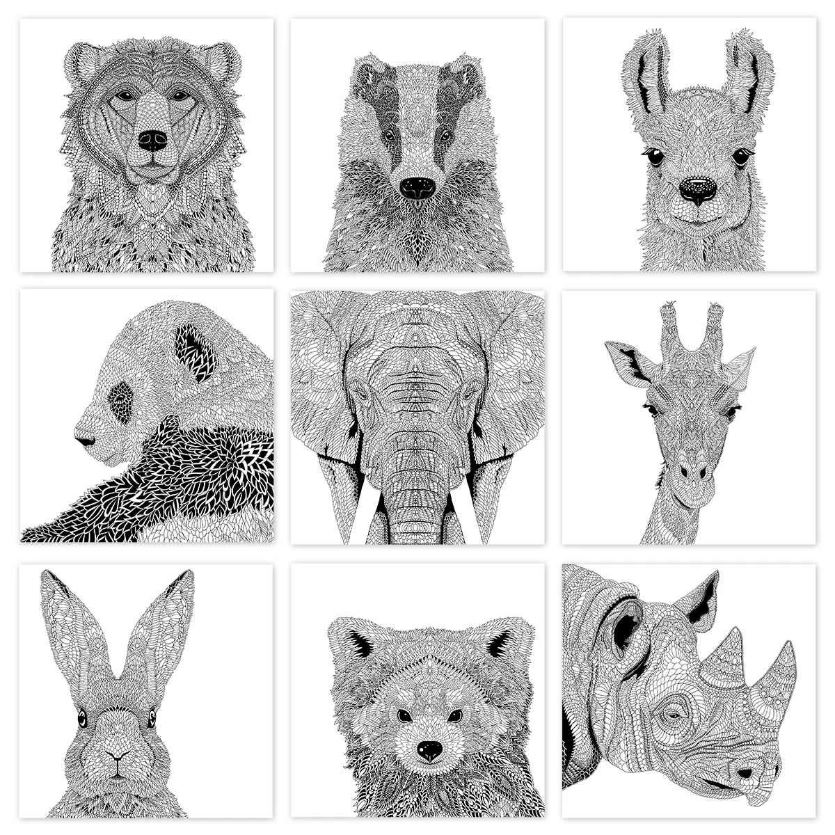 A selection of drawings from 'The Menagerie' created for the mindfulness relaxation of colouring in.