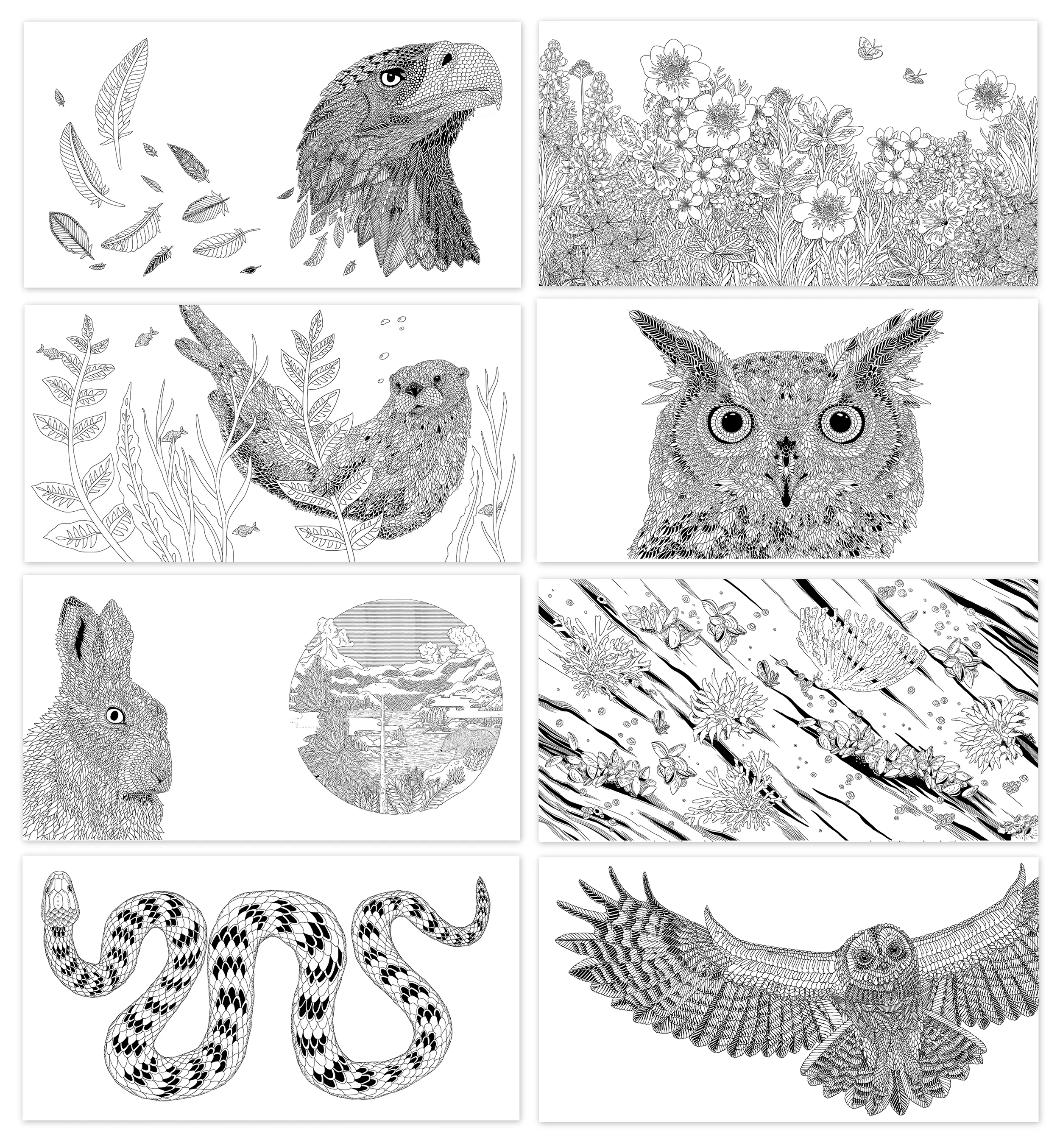 more drawings from the book