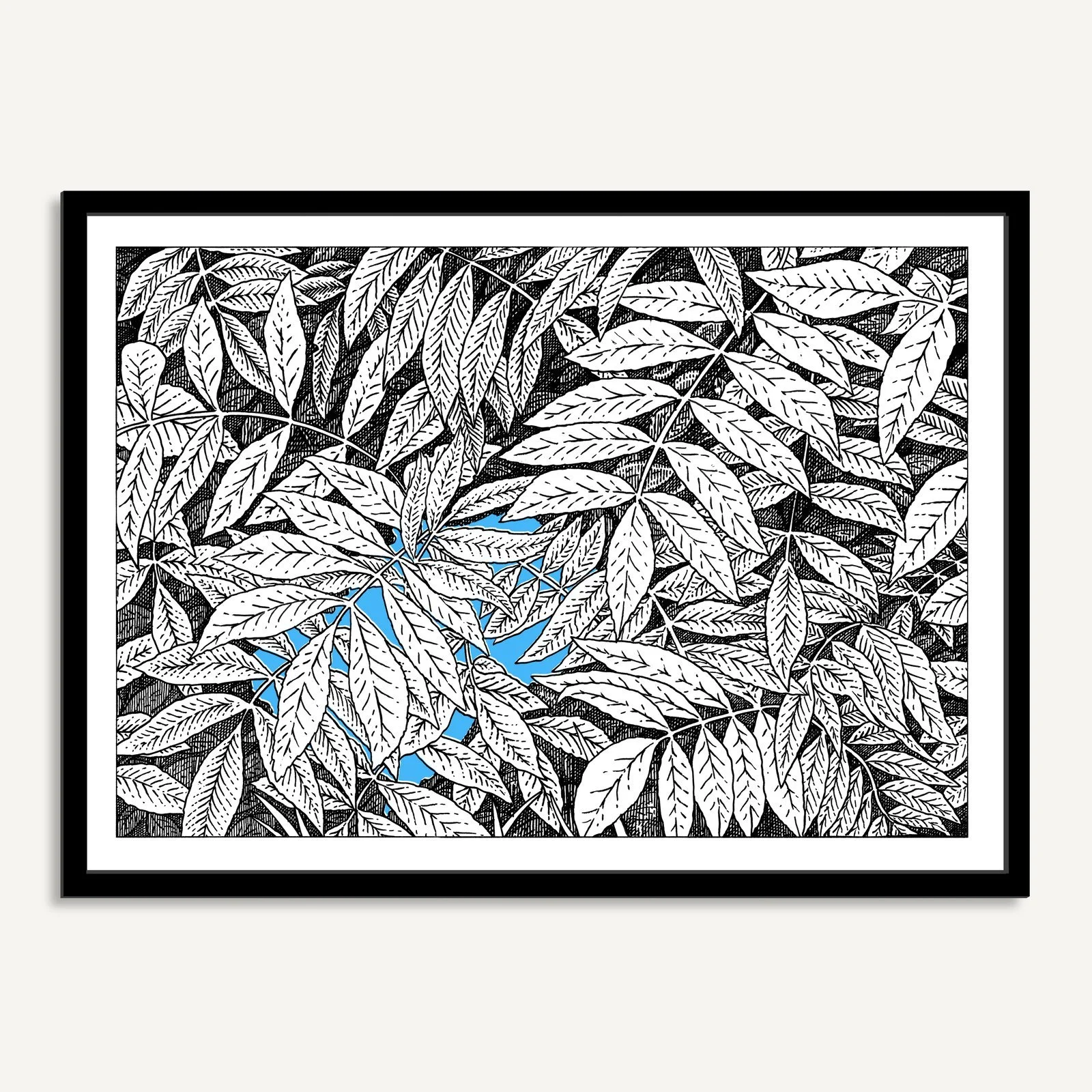 70x50+undergrowth+02.jpg