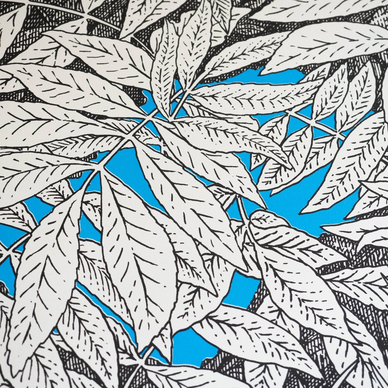 70x50+undergrowth+02a.jpg