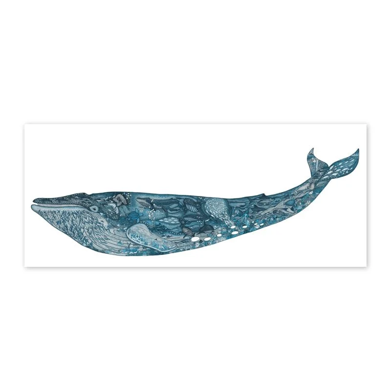 Blue_Whale_800sq_full.jpg