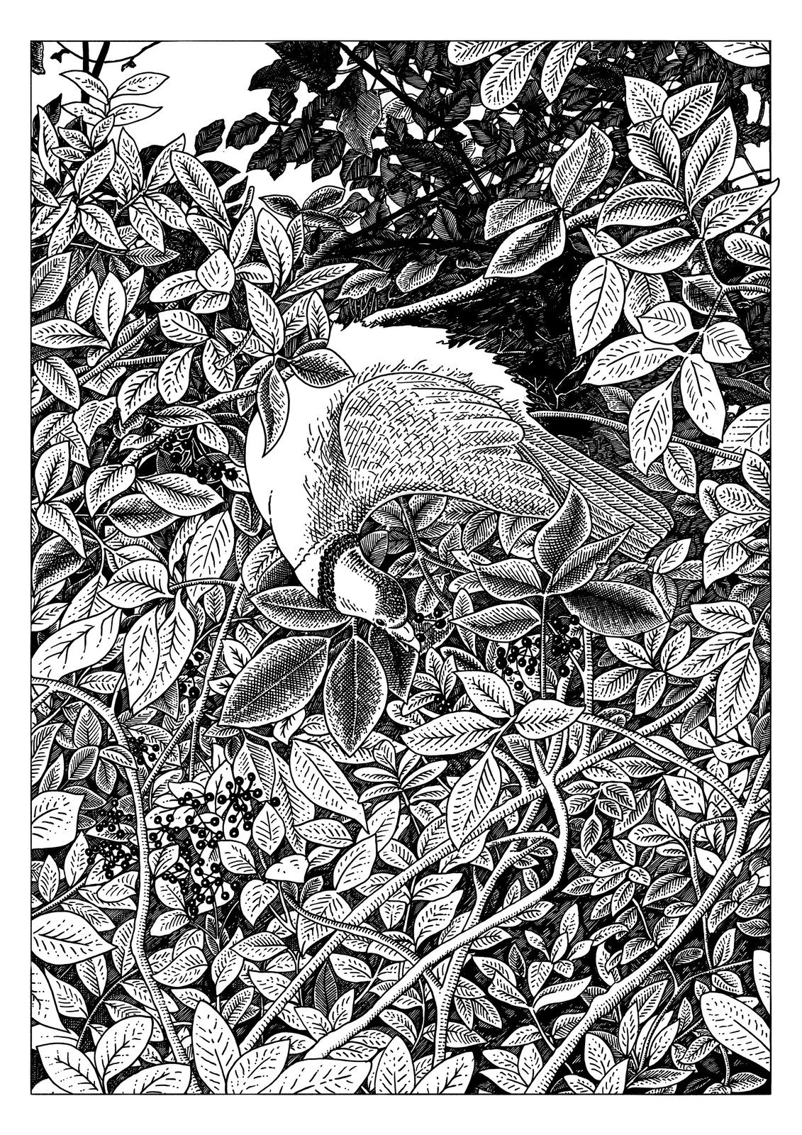 PKL_A4_06.jpg