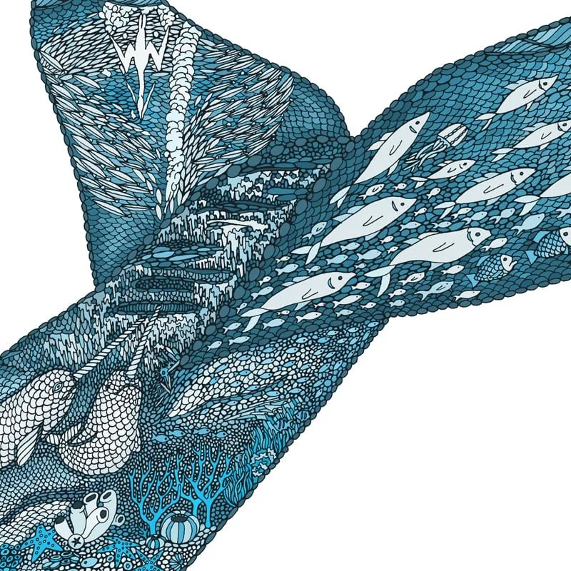Blue_Whale_800sq_8.jpg