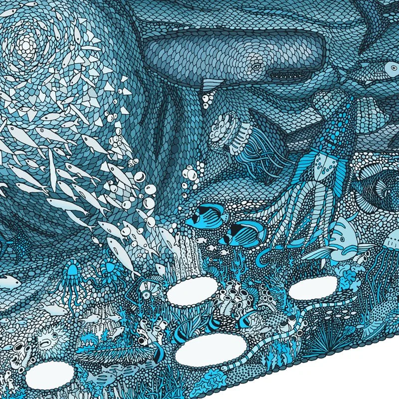 Blue_Whale_800sq_7.jpg