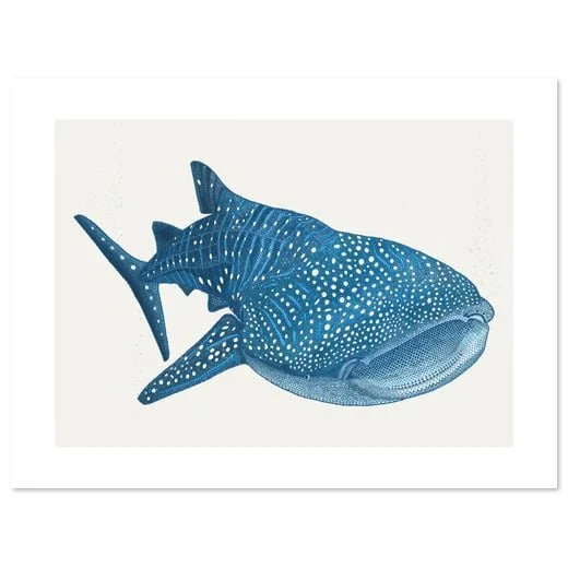 whale_shark_cream.jpg