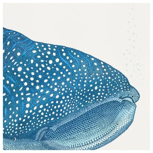 whale_shark_cream_close.jpg